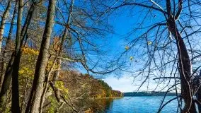 Piękna polska, mazurska złota jesień... rok temu - zdjęcie 20