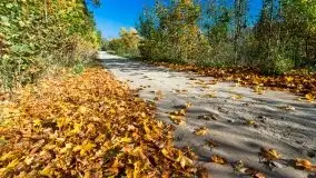 Jesień na mazurskich bezdrożach, 2019 - zdjęcie 2