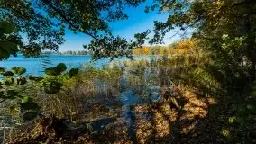 Jesień na mazurskich bezdrożach, 2019 - zdjęcie 12