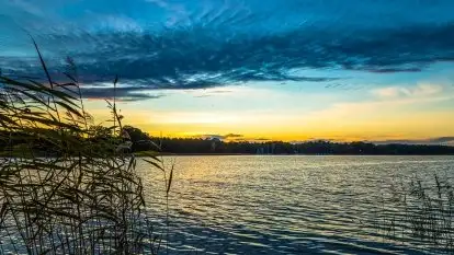 Zachód słońca widziany w zaroślach nad Niegocinem