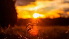 Zachód słońca nad mazurskimi polami, okolice wsi Sulimy - zdjęcie 23