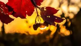 Wschód słońca, okolice i jezioro Kisajno, październik 2020 - zdjęcie 14