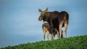 Jesień 2020 na zdjęciach Stanisława Sielewicza - zdjęcie 8