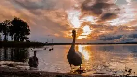 Jesień 2020 na zdjęciach Stanisława Sielewicza - zdjęcie 29