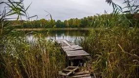 Jesień 2020 na zdjęciach Stanisława Sielewicza - zdjęcie 30