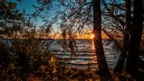 Jesień 2020 na zdjęciach Stanisława Sielewicza - zdjęcie 24