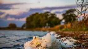 Zachód słońca nad jeziorem Kisajno - zdjęcie 14