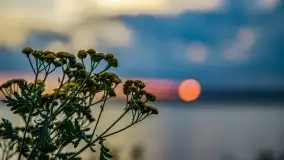 Zachód słońca nad jeziorem Kisajno - zdjęcie 39