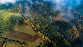 Mgła nad jeziorem Dargin i Nowym Harszem - zdjęcie 62