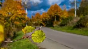 Mazurska jesień w okolicy Pieczarek i Przerwanek - zdjęcie 19
