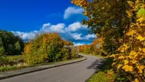 Mazurska jesień w okolicy Pieczarek i Przerwanek - zdjęcie 29