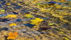 Mazurska jesień w okolicy Pieczarek i Przerwanek - zdjęcie 47