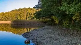 Jesienny, Mazurski las w okolicach Pieczarek - zdjęcie 47