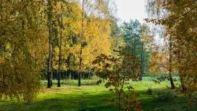 Mazury całe w barwach jesieni - zdjęcie 28