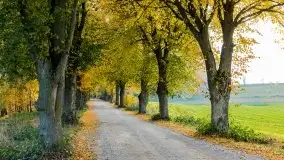 Mazury całe w barwach jesieni - zdjęcie 14