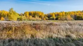 Mazury całe w barwach jesieni - zdjęcie 8