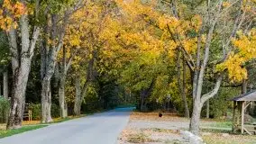 Mazury całe w barwach jesieni - zdjęcie 30