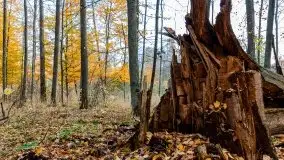 Mazury całe w barwach jesieni - zdjęcie 46