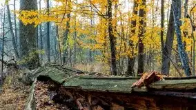 Mazury całe w barwach jesieni - zdjęcie 39