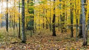 Mazury całe w barwach jesieni - zdjęcie 52