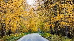 Mazury całe w barwach jesieni - zdjęcie 37