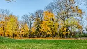 Mazury całe w barwach jesieni - zdjęcie 55