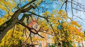 Mazury całe w barwach jesieni - zdjęcie 73