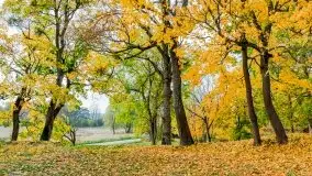 Mazury całe w barwach jesieni - zdjęcie 74