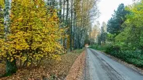 Mazury całe w barwach jesieni - zdjęcie 71