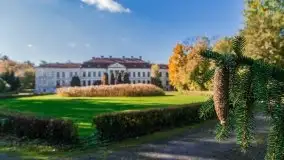 Pałac w Drogoszach - zdjęcie 20