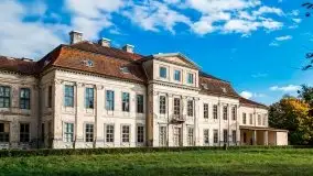 Pałac w Drogoszach - zdjęcie 8