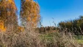 Jesiennie klimaty, Fuleda, Dziewiszewo, jezioro Dobskie - zdjęcie 11