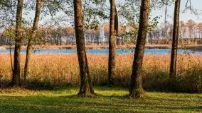 Jesiennie klimaty, Fuleda, Dziewiszewo, jezioro Dobskie - zdjęcie 31