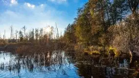 Jesiennie klimaty, Fuleda, Dziewiszewo, jezioro Dobskie - zdjęcie 39