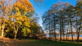 Jesiennie klimaty, Fuleda, Dziewiszewo, jezioro Dobskie - zdjęcie 13