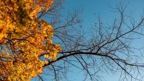 Jesiennie klimaty, Fuleda, Dziewiszewo, jezioro Dobskie - zdjęcie 47