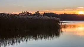 Zachód Słońca nad jeziorem Dobskim, listopad 2020 - zdjęcie 60