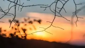 Zachód Słońca nad jeziorem Dobskim, listopad 2020 - zdjęcie 68