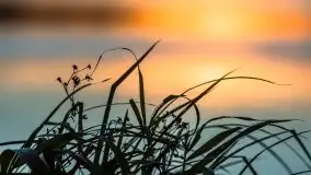 Zachód Słońca nad jeziorem Dobskim, listopad 2020 - zdjęcie 66