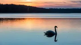 Zachód Słońca nad jeziorem Dobskim, listopad 2020 - zdjęcie 59