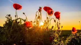 Zachód słońca niedaleko Lipowego Dworu - zdjęcie 7