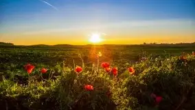 Zachód słońca niedaleko Lipowego Dworu - zdjęcie 9