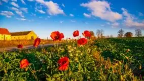 Zachód słońca niedaleko Lipowego Dworu - zdjęcie 10