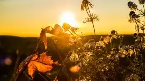 Zachód słońca niedaleko Lipowego Dworu - zdjęcie 27