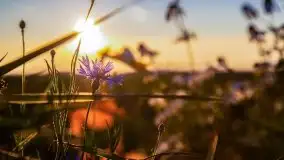 Zachód słońca niedaleko Lipowego Dworu - zdjęcie 6