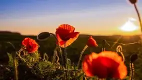 Zachód słońca niedaleko Lipowego Dworu - zdjęcie 15