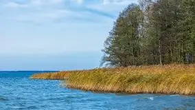 Późno jesienne klimaty gdy wieje i chłód doskwiera przy jeziorze Dargin - zdjęcie 22