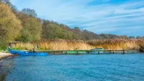 Późno jesienne klimaty gdy wieje i chłód doskwiera przy jeziorze Dargin - zdjęcie 19