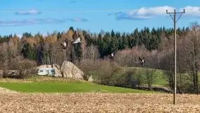 Zwierzęta złapane na Mazurach na początku 2020 roku - zdjęcie 13