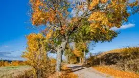 Piękna mazurska złota jesień, listopad 2019 - zdjęcie 45